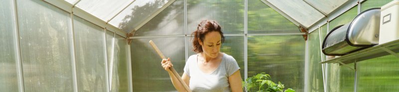 Treibhaus-Glas & Gewächshaus-Glas. Gartenbau-Glas für den Garten- & Landschaftsbau.
