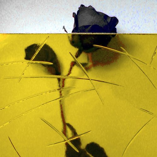 Stärke 4 mm. Mit Struktur "Gußantik", gelb. Laternen- & Leuchtenscheibe 