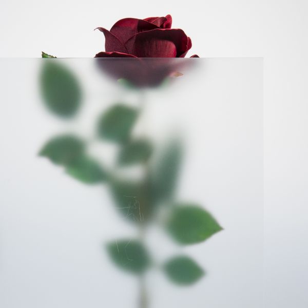 Acrylglas satiniert, farblos (Mattglas-Optik)   