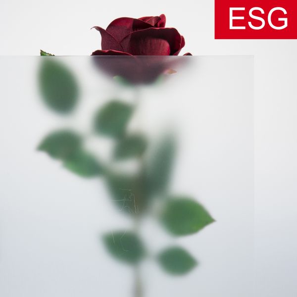 Kühlschrank-Glasplatte, Mattglas als ESG - Sicherheitsglas, klar   