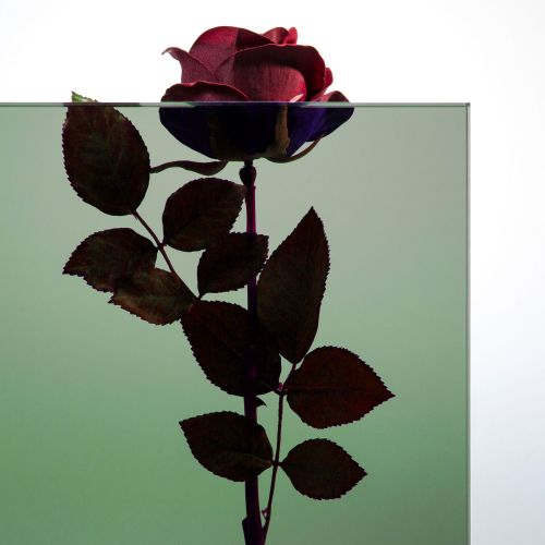 Parsol-Grün Glas "PRO green"  Vorschaubild #2